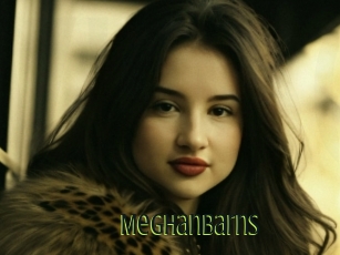 Meghanbarns