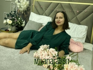 Milanarabbit