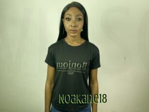 NoaKane18