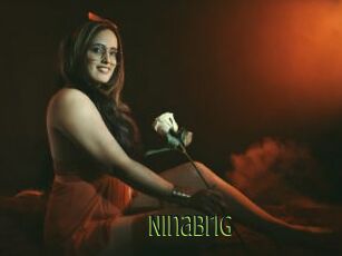 Ninabrig