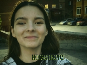 Noreenborer
