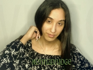 Normadrudge