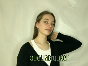 Odeliabrucker