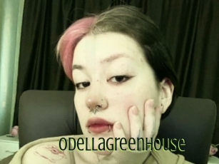 Odellagreenhouse