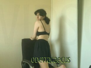 Odettacaecus