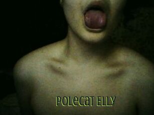 Polecat_Elly
