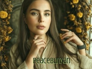 Peacebunyan