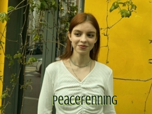 Peacefenning