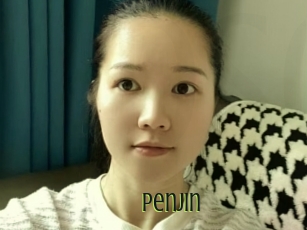 Penjin