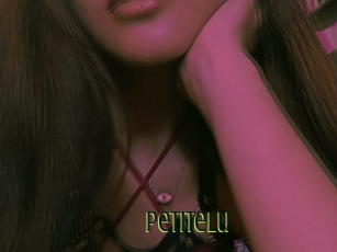 Petitelu