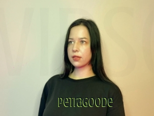 Petragoode