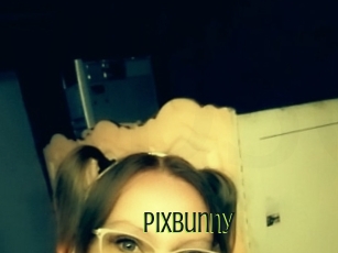 pixbunny Video sodomie anal