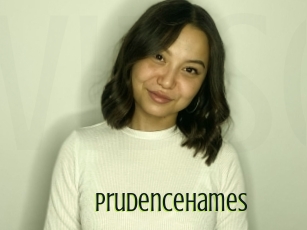 prudencehames Video sodomie anal