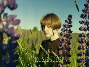 RosaMalet