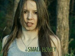 SMALL_HONEY