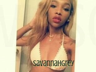 Savannah_Grey
