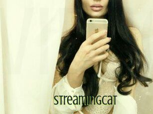 Streamingcat