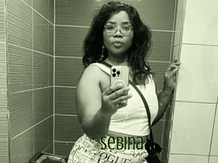 Sebina