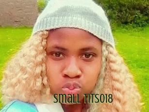 small_tits018 Video sodomie anal