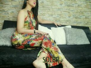 Solbri