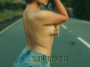 Sunflower_18