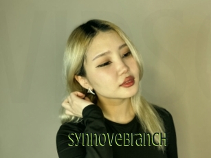 Synnovebranch