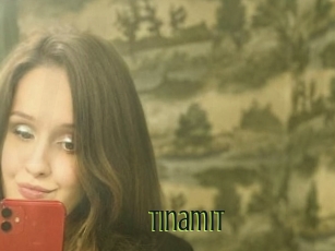 Tinamit