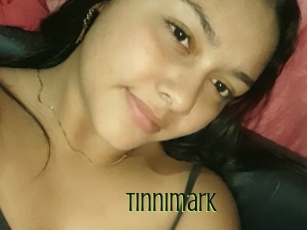 Tinnimark