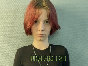 Udelehallett