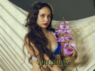 VenusLuvis