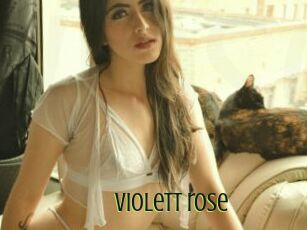 Violett_rose