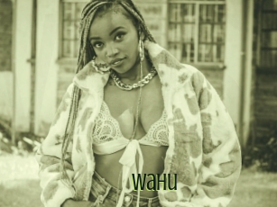 Wahu