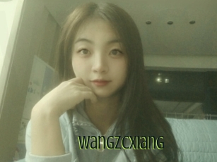 Wangzcxiang