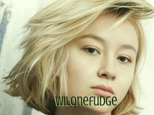Wilonefudge