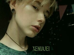 XENIA_JEI