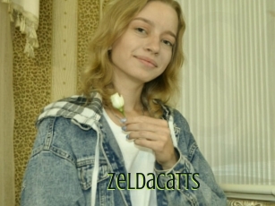 Zeldacatts